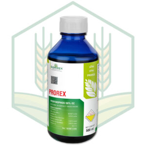 PROREX